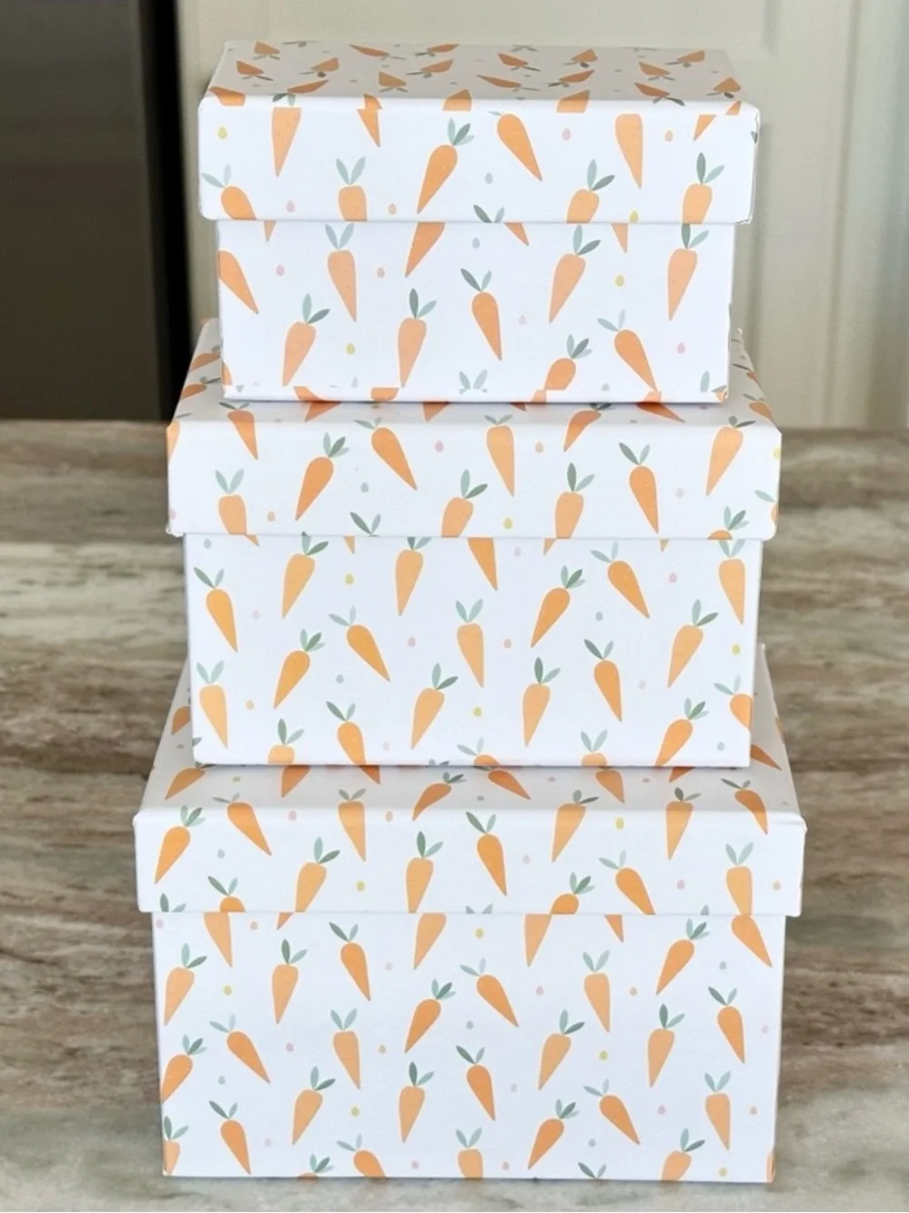 Set of 3 Carrot Print Gift Boxes / Decorative Storage Boxes - Spring Easter